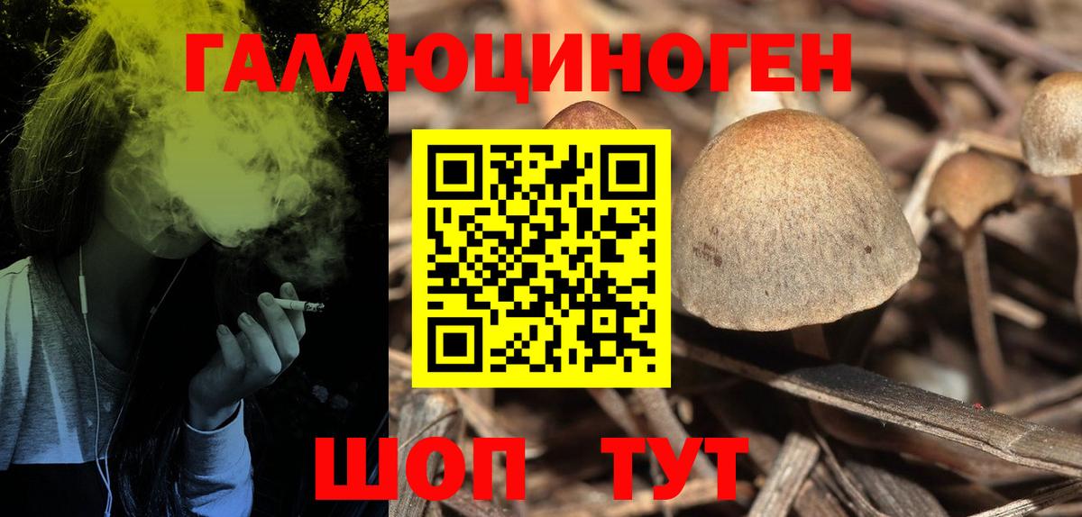 Галлюциногенные грибы Magic Shrooms  Вход с VPN  Псилоцибиновые грибы прущие грибы  Гусь-Хрустальный 